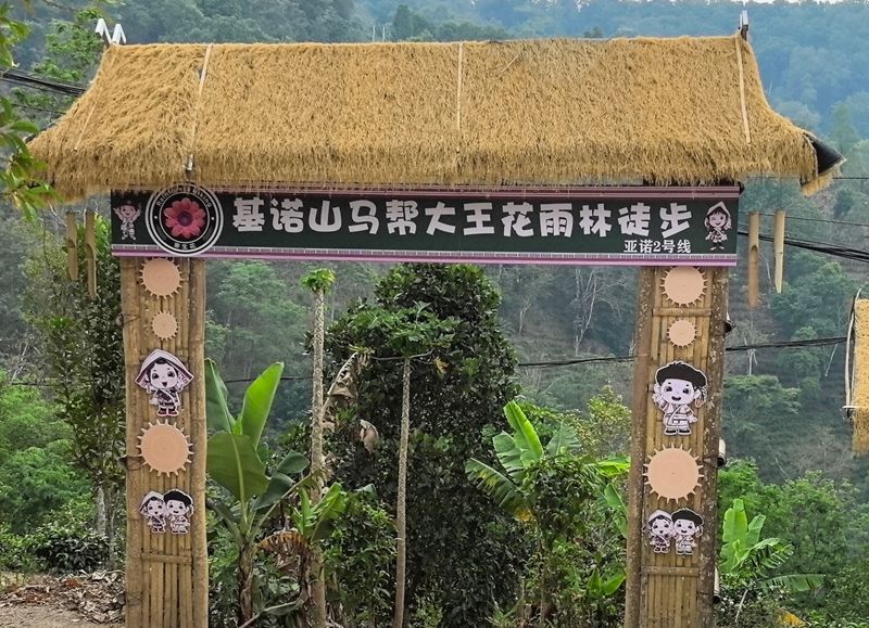 亚诺村2号巴马线