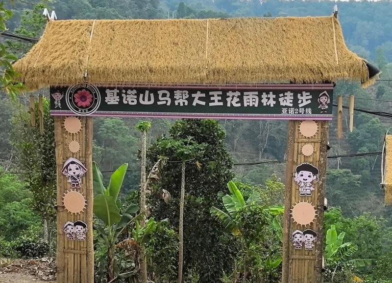 亚诺村2号巴马线