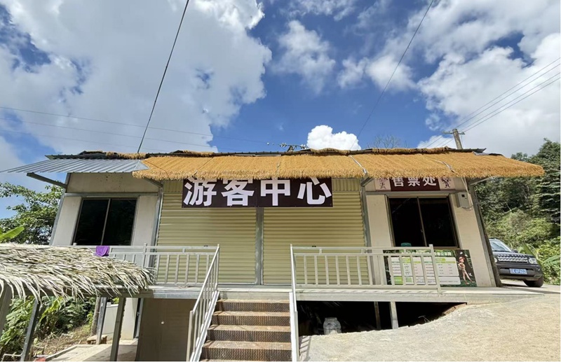 原始森林